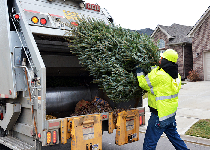 Recycle your holiday tree, lights City of Lexington